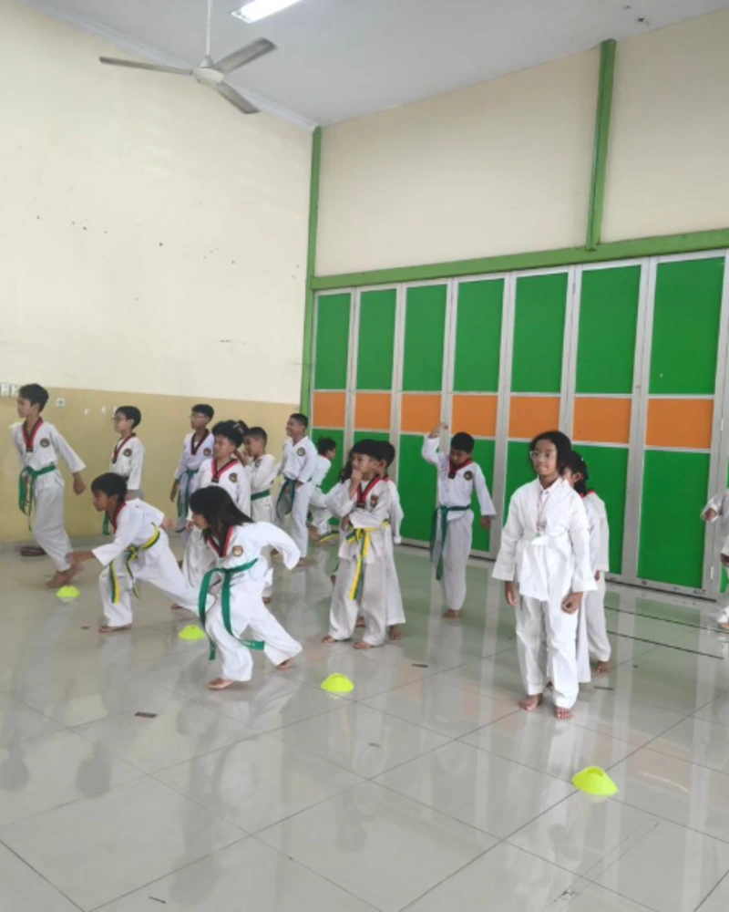 Taekwondo